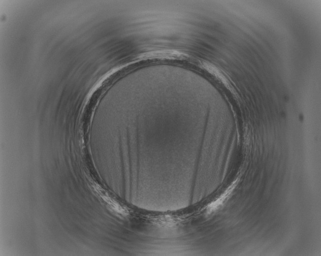 X0000073890923200609011649