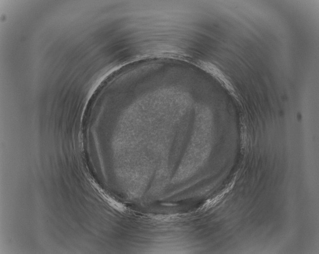 X0000073890924200609011649