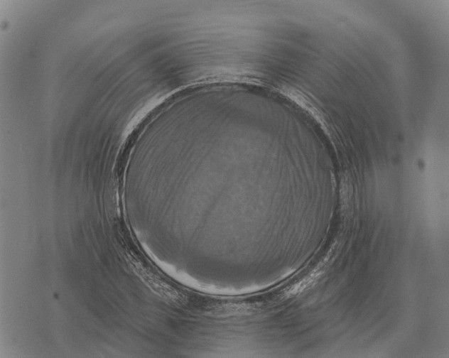 X0000073890925200609011649