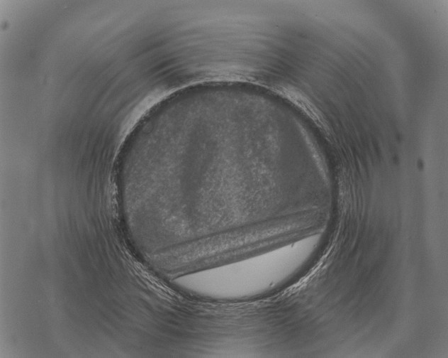 X0000073890926200609011649