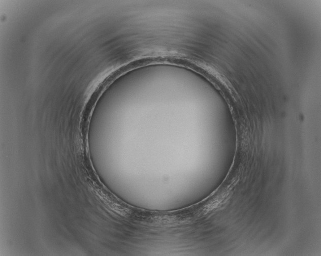 X0000073890927200609011649