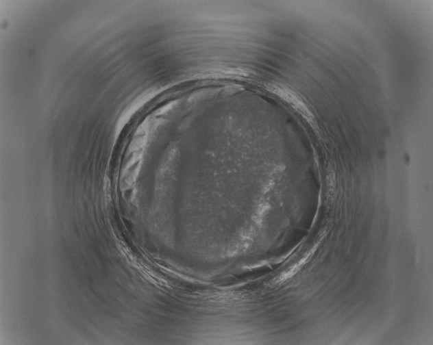 X0000073890928200609011649