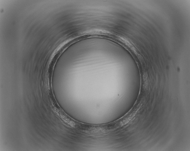 X0000073890931200609011649