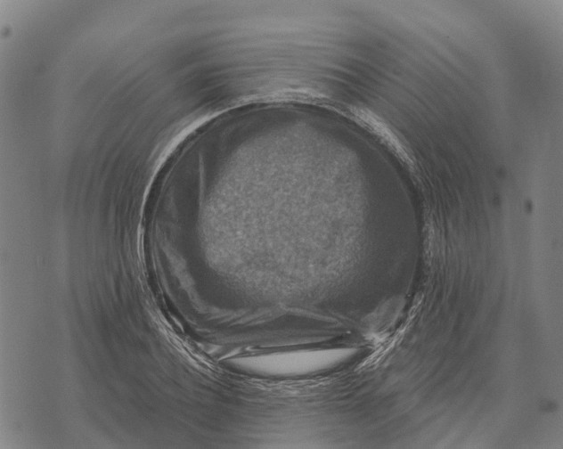 X0000073890932200609011649