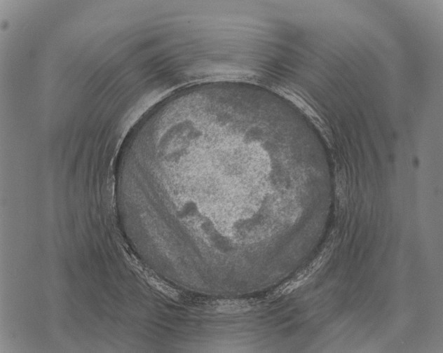 X0000073890933200609011649