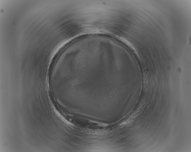 X0000073890935200609011649