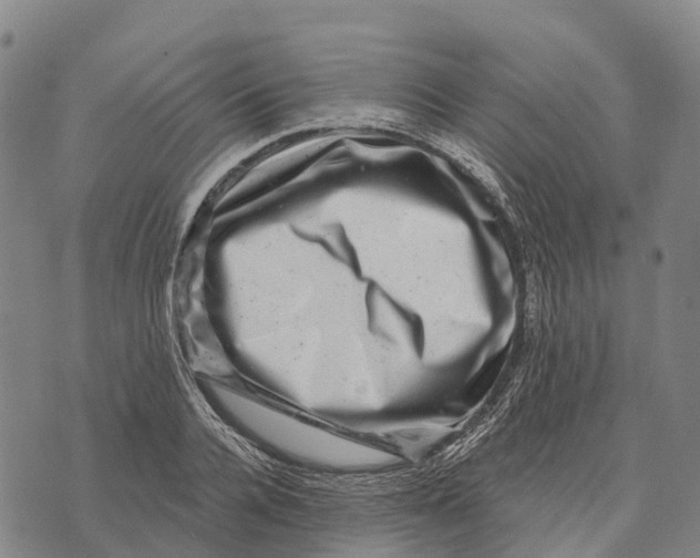 X0000073890936200609011649