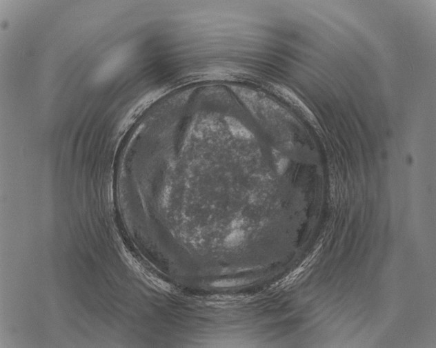 X0000073890938200609011649