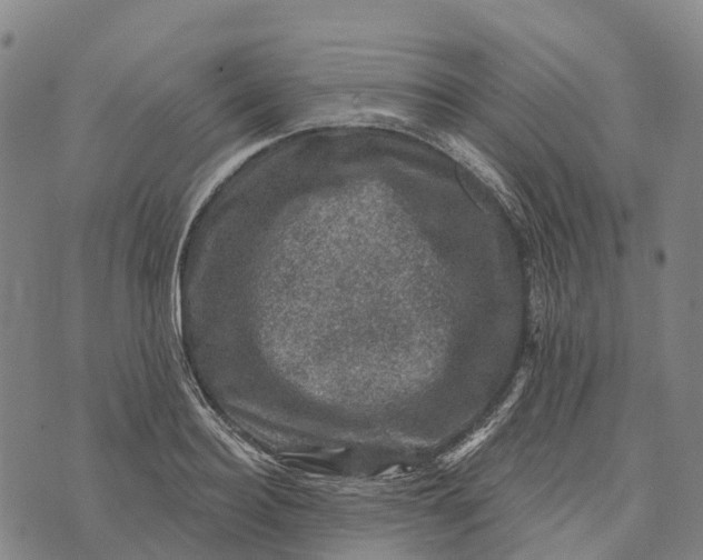 X0000073890940200609011649