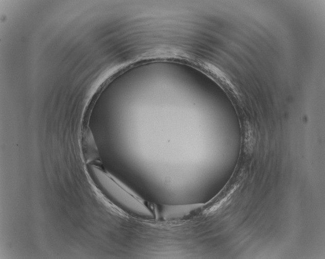 X0000073890942200609011650