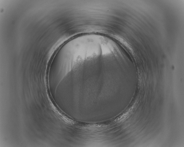 X0000073890943200609011650