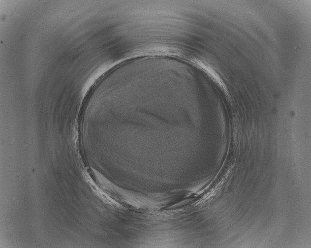 X0000073890944200609011650