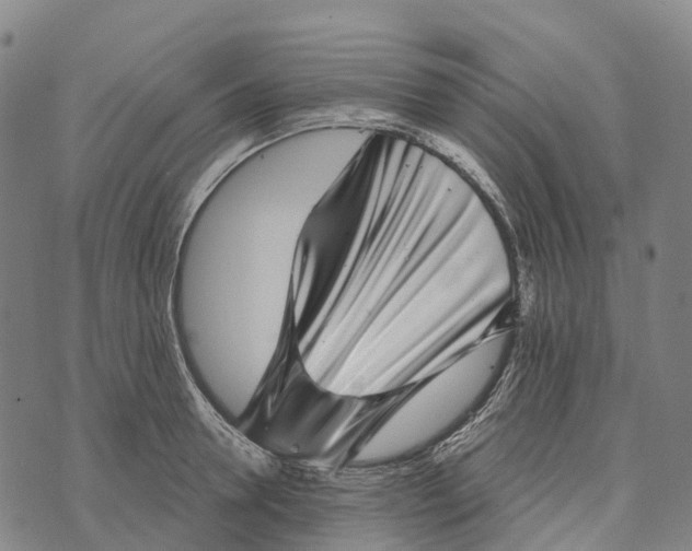 X0000073890946200609011650