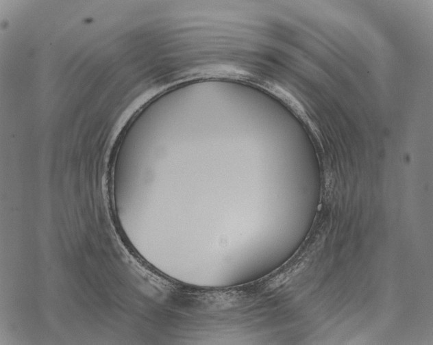 X0000073890947200609011650