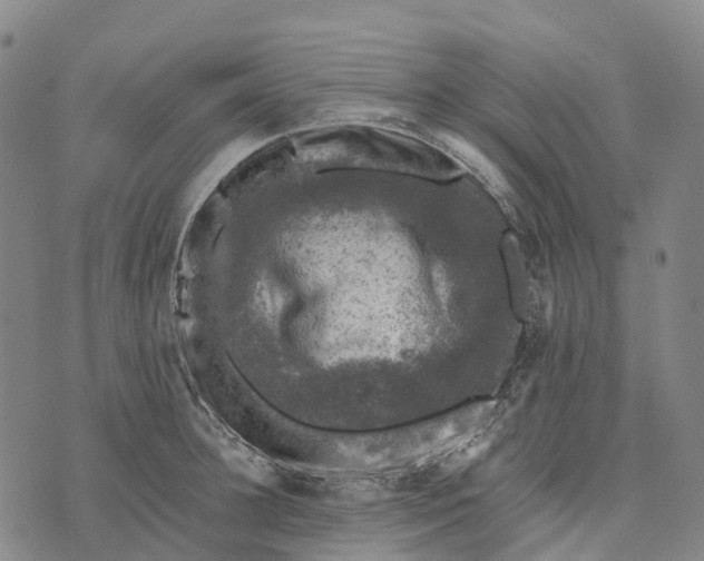 X0000073890948200609011650