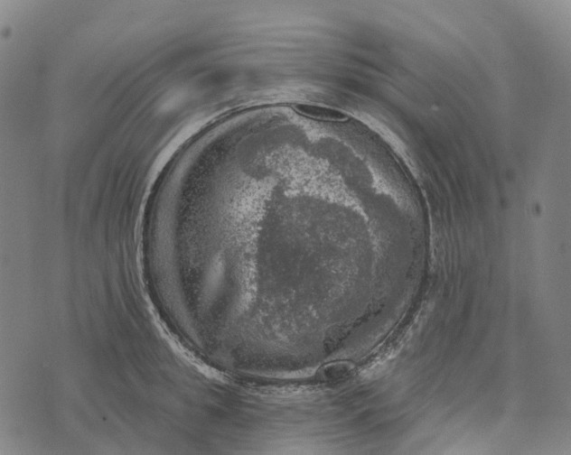 X0000073890949200609011650