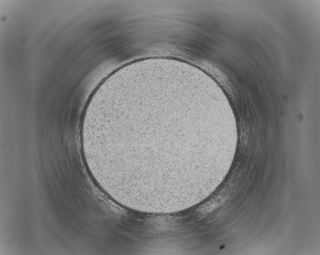 X0000073890950200609011650