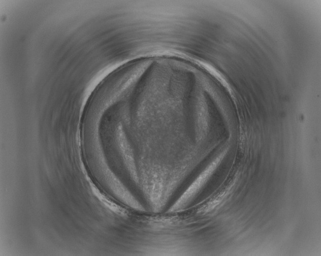 X0000073890951200609011650