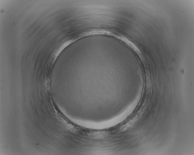 X0000073890953200609011650