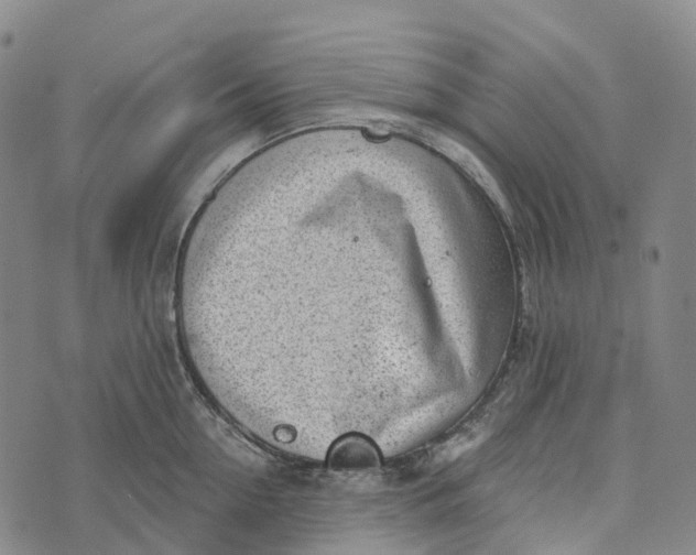 X0000073890954200609011650