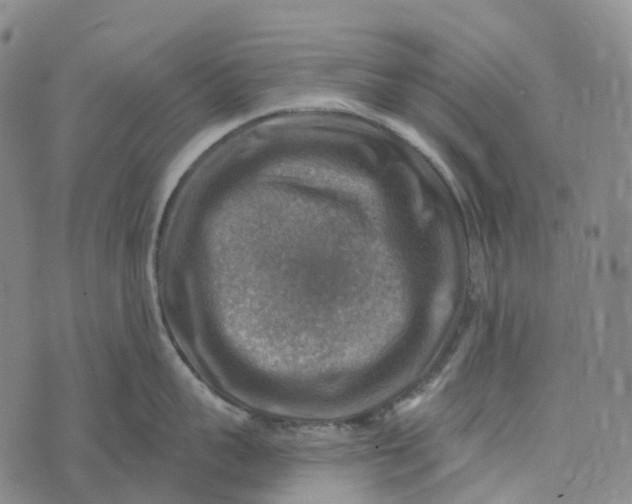 X0000073890959200609011650