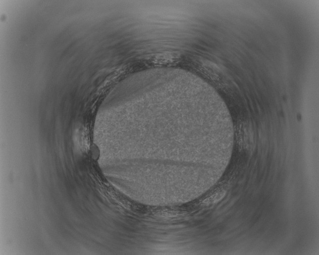 X0000073890962200609011649