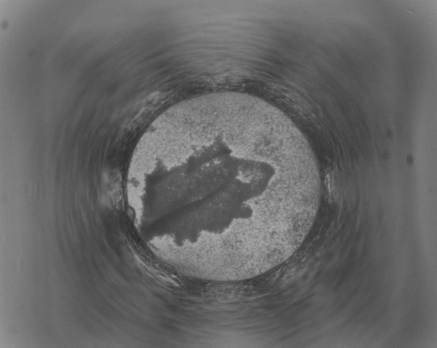 X0000073890963200609011649