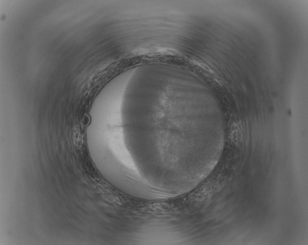 X0000073890966200609011649