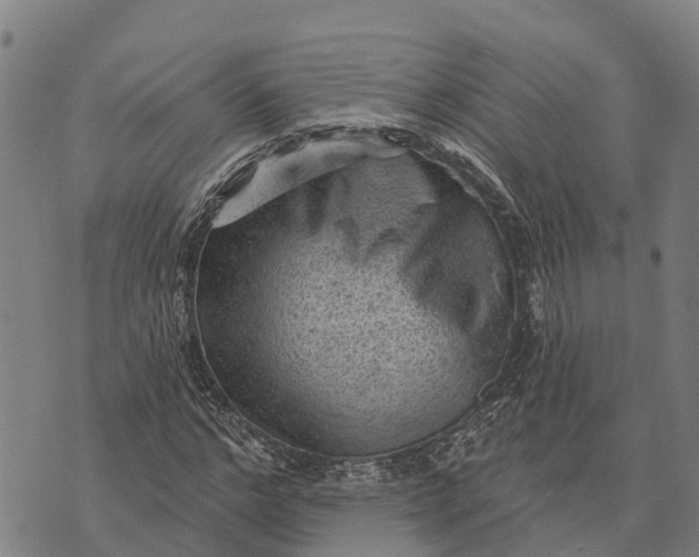 X0000073890968200609011649