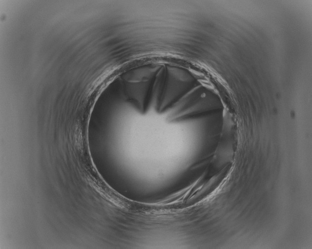 X0000073890969200609011649