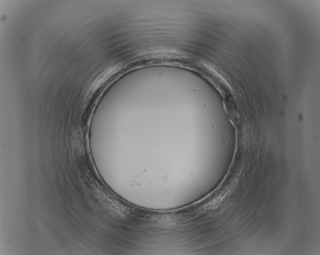 X0000073890970200609011649