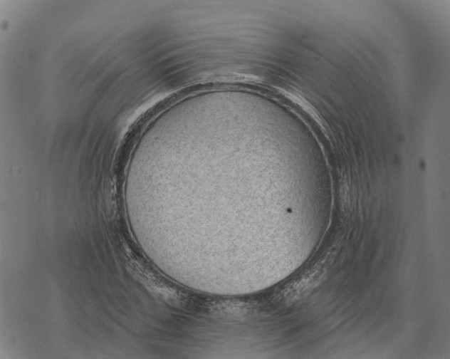 X0000073890971200609011649