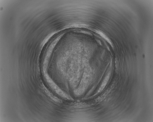 X0000073890972200609011649