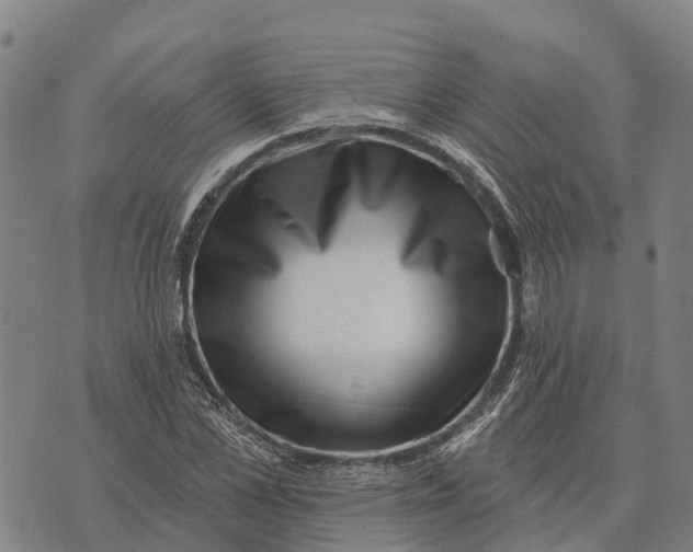 X0000073890973200609011649