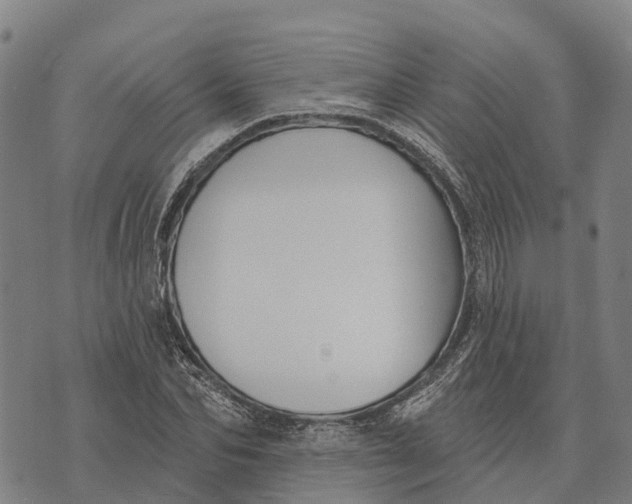 X0000073890974200609011649