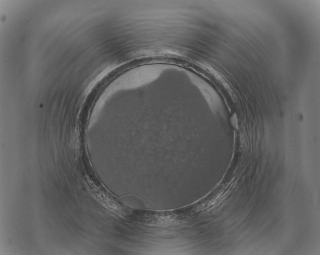 X0000073890975200609011649