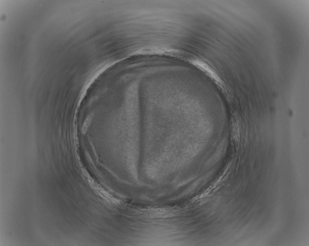 X0000073890976200609011649