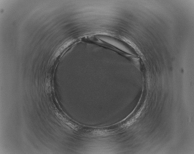 X0000073890977200609011649