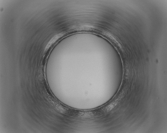 X0000073890978200609011649