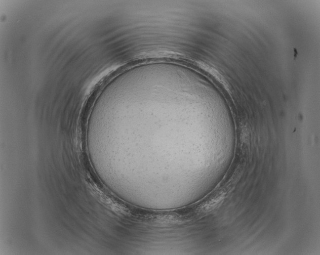 X0000073890979200609011649