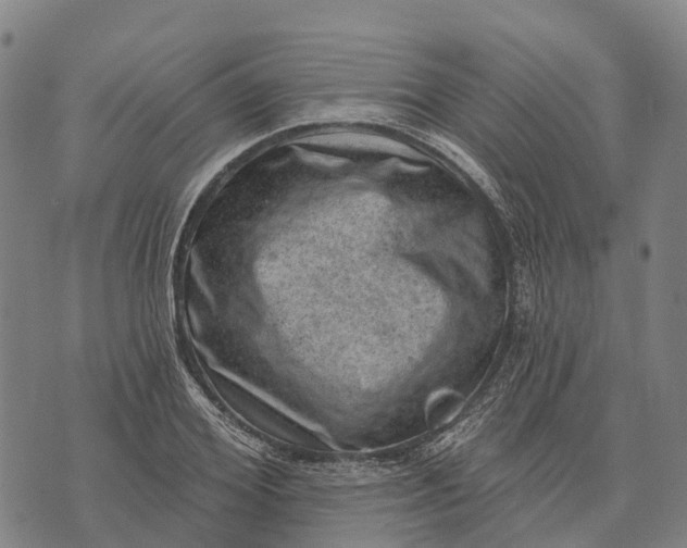 X0000073890980200609011649