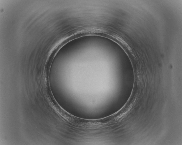 X0000073890981200609011649