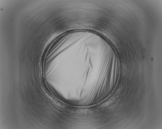 X0000073890982200609011649