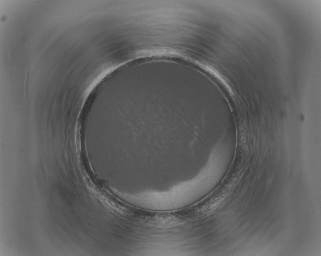 X0000073890983200609011649