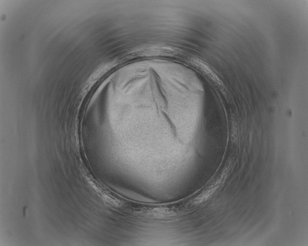 X0000073890986200609011649