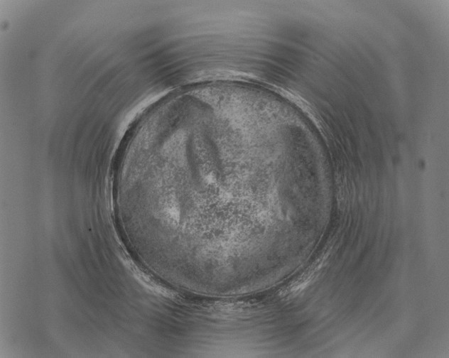 X0000073890987200609011649