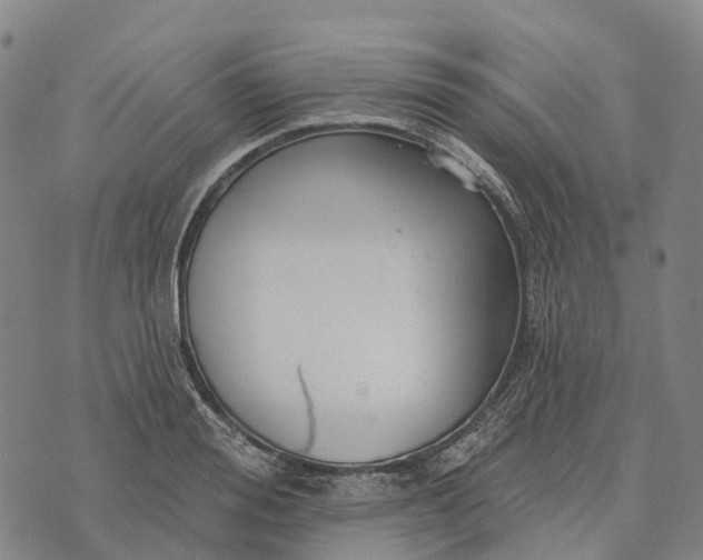 X0000073890988200609011649