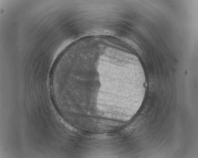 X0000073890990200609011649