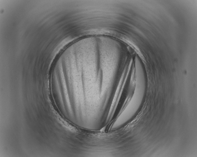 X0000073890992200609011649