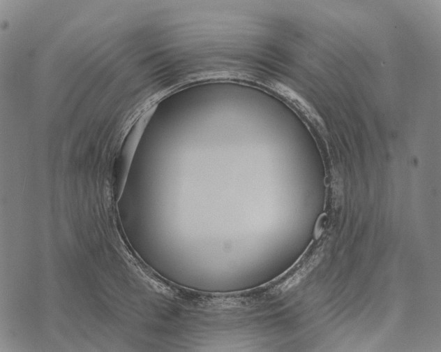 X0000073890993200609011648